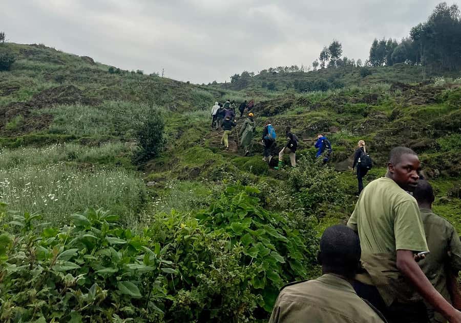 From Kigali: Bisoke Summit Trek, Crater Lake 1 Day Safari - The two-hour descent and ride back to Kigali