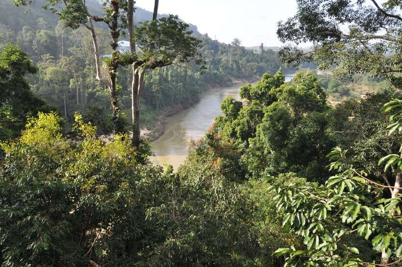 From Kuala Lumpur: Taman Negara National Park Trek Day Tour - The long road from Kuala Lumpur to Taman Negara