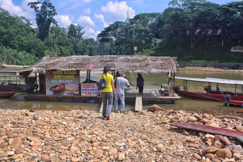 From Kuala Lumpur: Taman Negara National Park Trek Day Tour - Lunch at the Taman Negara floating restaurant