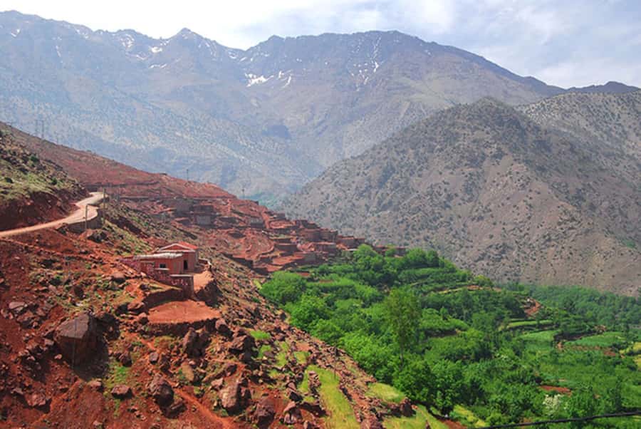 From Marrakech: 3-Day Mount Toubkal Climbing Trek - Day three: summit morning and the long return