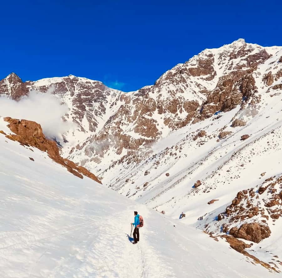 From Marrakech: 3-Day Mount Toubkal Climbing Trek - Guides, muleteers, and the human side of the trek