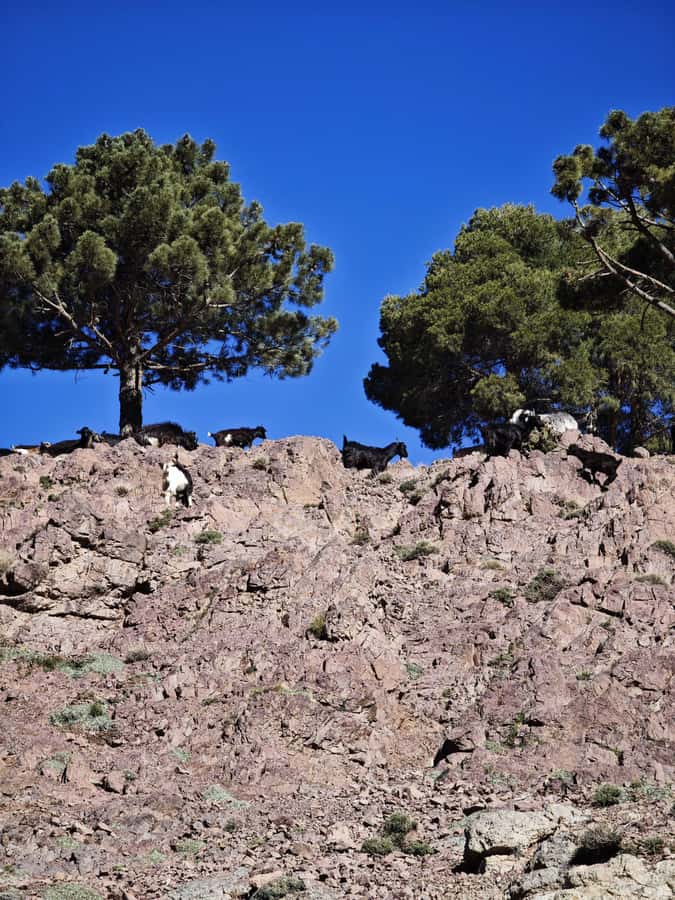 From Marrakech: Aourirt N’ouassif Summit Day Hike & Trek - Tizi N’tamatert and the view between two valleys