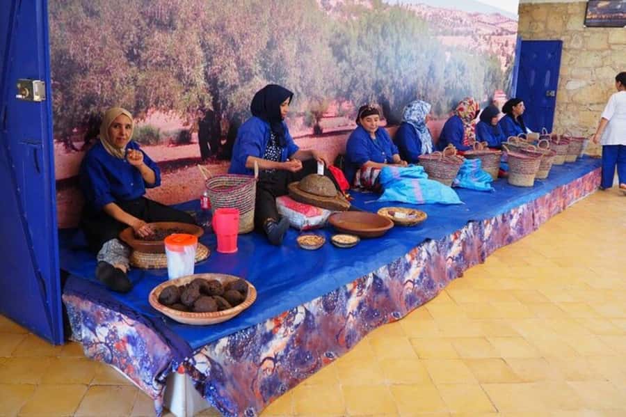 From Marrakech: Atlas Mountains Summit Trek - Who should book this Atlas Mountains day trip?