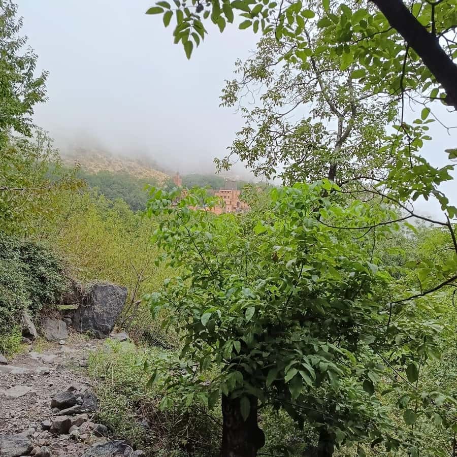 From Marrakech: Atlas Mountains Summit Trek - Should you book it?