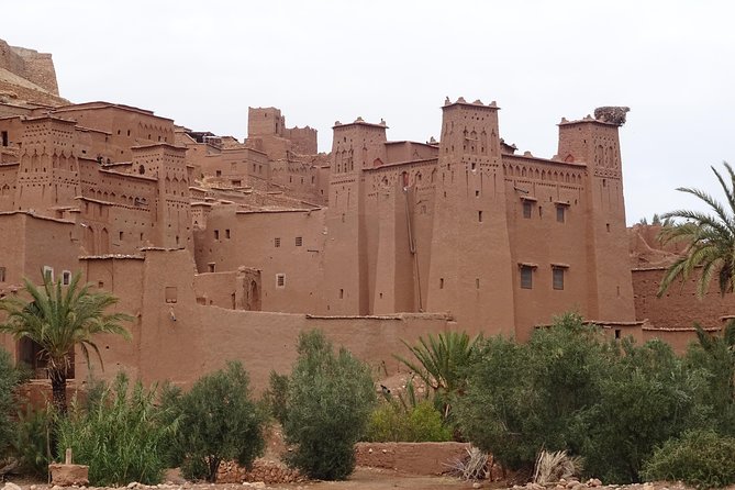 From Marrakech: Private Tour to Oasis and Trekking in the Desert of Erg Chigaga - Is the $614.14 price good value?