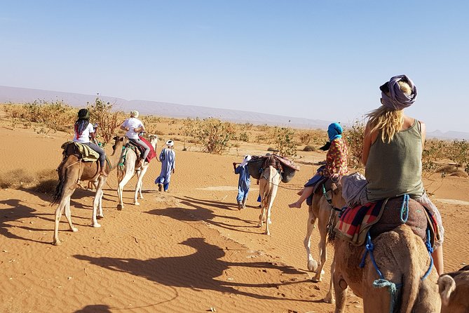 From Marrakech: Private Tour to Oasis and Trekking in the Desert of Erg Chigaga - Day three: sunrise, dromedaries, and lunch under tamarind trees