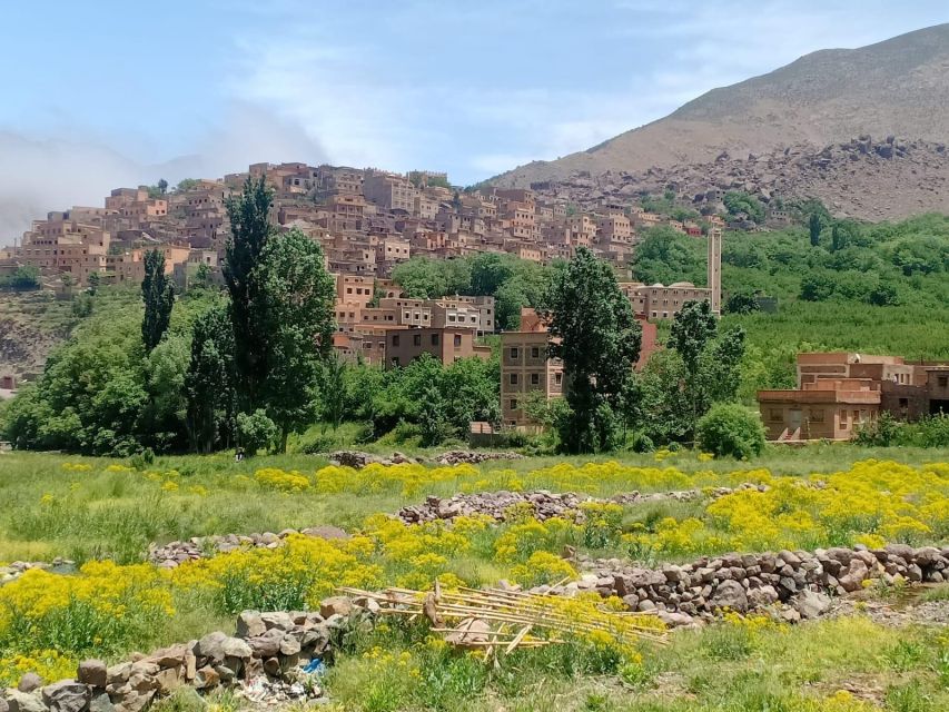 From Marrakech: Taoudja Summit Hike in the Atlas Mountain - Who should book this hike