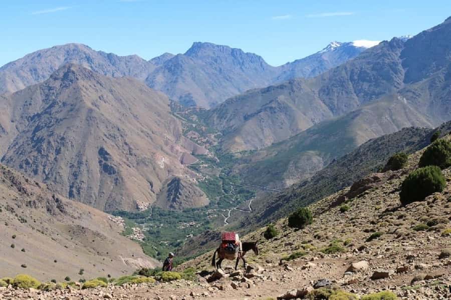 From Marrakech: Taoudja Summit Hike in the Atlas Mountain - The guides and the feel of a private group