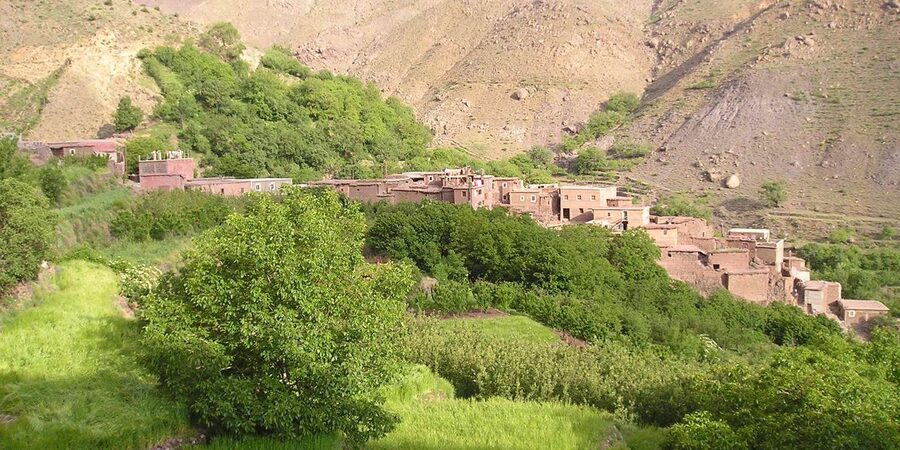 From Marrakech: Trek to Atlas Mountains, Full-Day Trip Lunch - Meeting local families and seeing mountain life