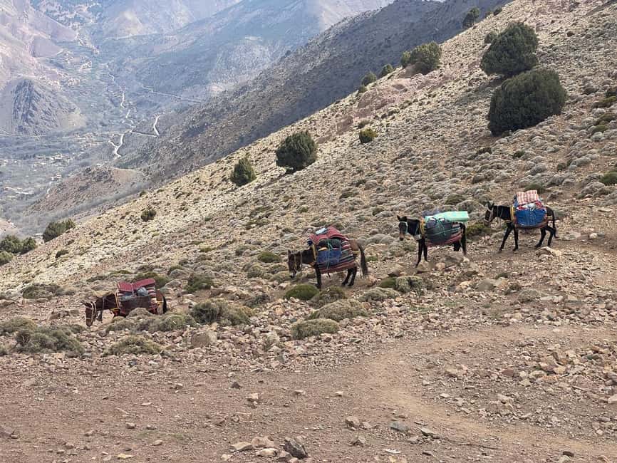 From Marrakech: Trek to Atlas Mountains, Full-Day Trip Lunch - Practical advice for the walk