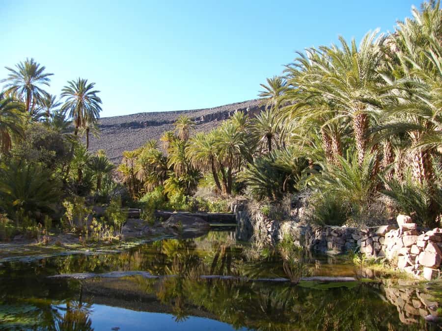 From Marrakesh: 2-Day Trek to Ait-Benhaddou and Ouarzazate - What the $224 price really covers