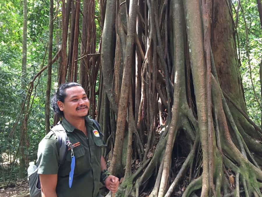 From Medan: 4 day tour to Bukit Lawang incl. jungle trek - A 9 a.m. start and a real rainforest trail