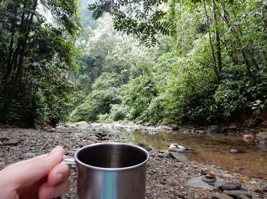From Medan: 4 day tour to Bukit Lawang incl. jungle trek - Day two, more forest or a waterfall