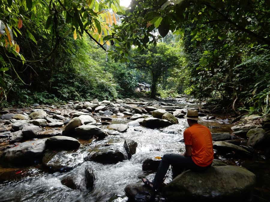 From Medan: 4 day tour to Bukit Lawang incl. jungle trek - Fitness, safety, and what to pack