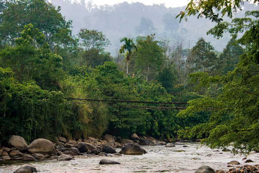 From Medan : Jungle Trekking for Orang Utan at Mount Leuser - Orangutans Are the Main Prize, Not a Guarantee