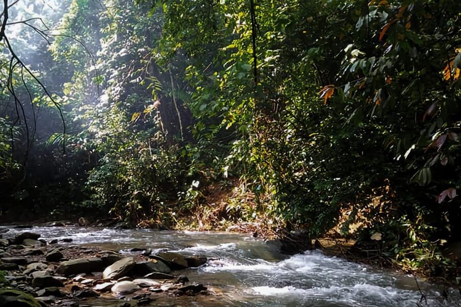 From Medan : Jungle Trekking for Orang Utan at Mount Leuser - What to Pack for the 3 to 9-Hour Walk