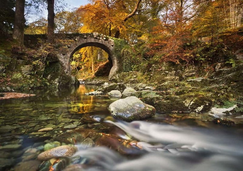 From Newcastle: Game of Thrones Tollymore Forest Trek - What the group size means