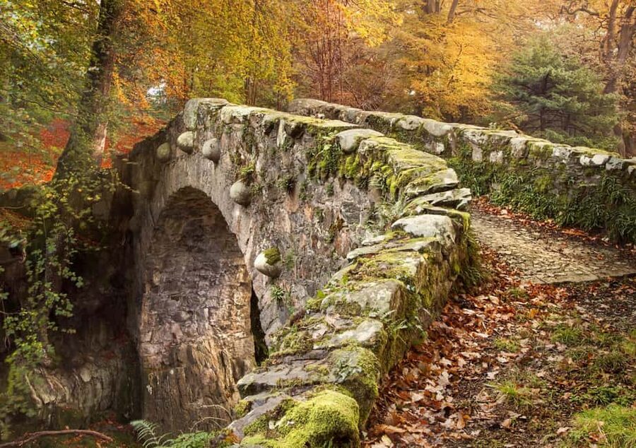 From Newcastle: Game of Thrones Tollymore Forest Trek - Meeting at the forest, not in Newcastle
