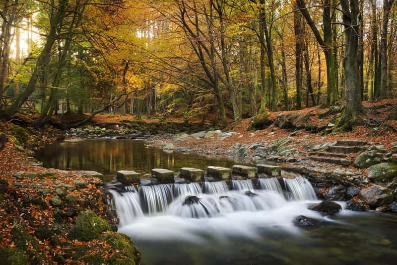 From Newcastle: Game of Thrones Tollymore Forest Trek - The campfire where Tyrion meets Jon