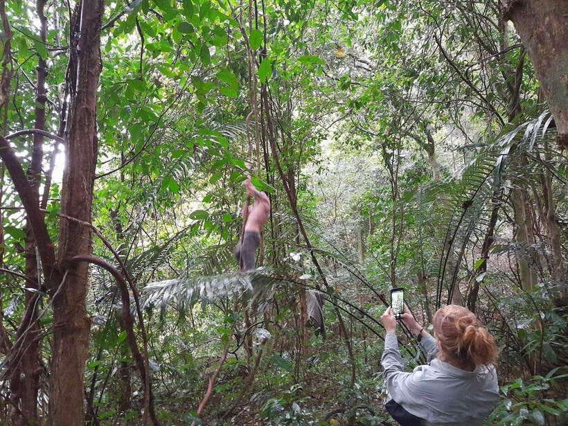 From Ninh Binh: Cuc Phuong National Park Trekking Day Tour - The museum collection, from insects to preserved mammals