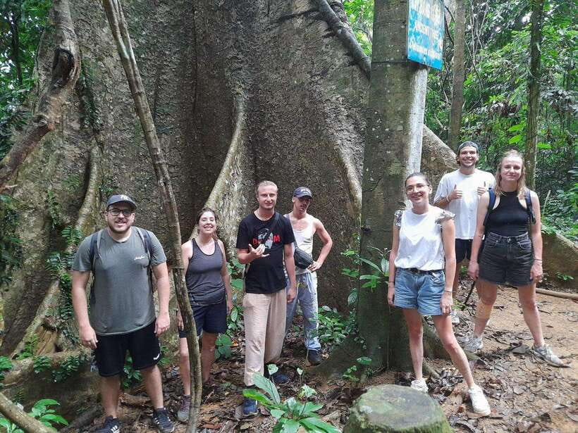 From Ninh Binh: Cuc Phuong National Park Trekking Day Tour - The 1,000-year-old tree and the afternoon forest walk