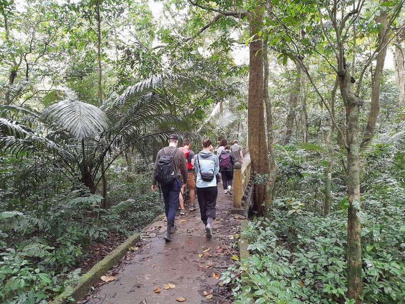 From Ninh Binh: Cuc Phuong National Park Trekking Day Tour - What to pack for Cuc Phuong