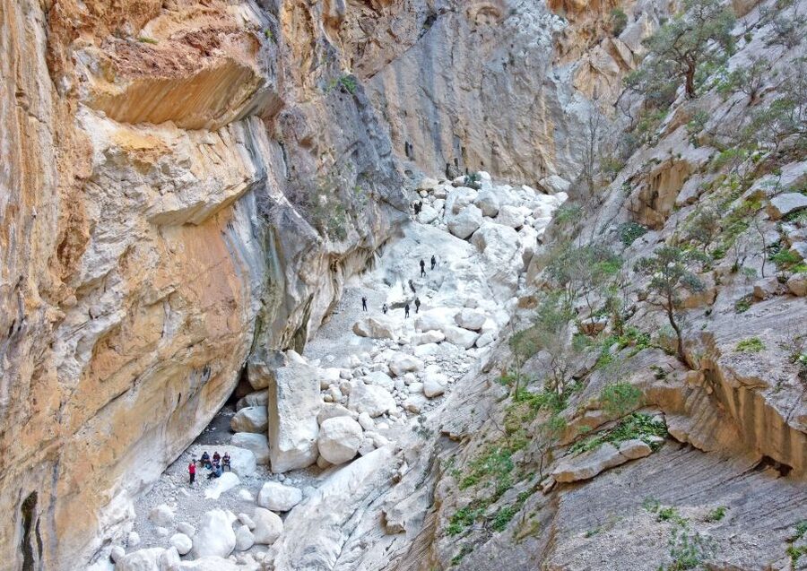 From Orosei or Dorgali: Trek to Gorropu with Panoramic Views - What the guide adds to the day