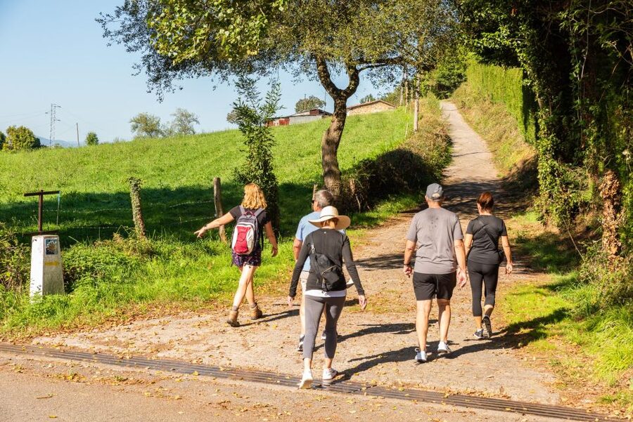 From Oviedo: Half-Day Camino de Santiago Hike - Quiet Walking and Conversation
