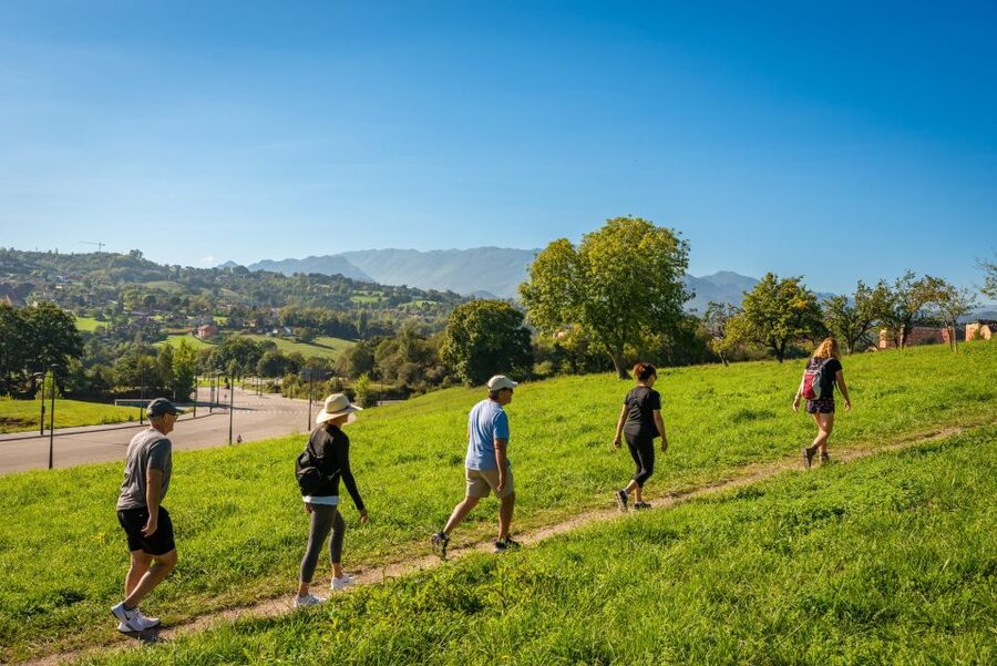 From Oviedo: Half-Day Camino de Santiago Hike - Shoes, Weather, and Fitness