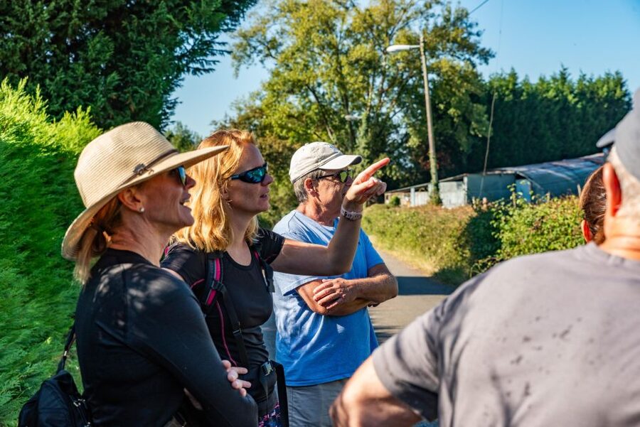 From Oviedo: Half-Day Camino de Santiago Hike - Booking Details That Matter