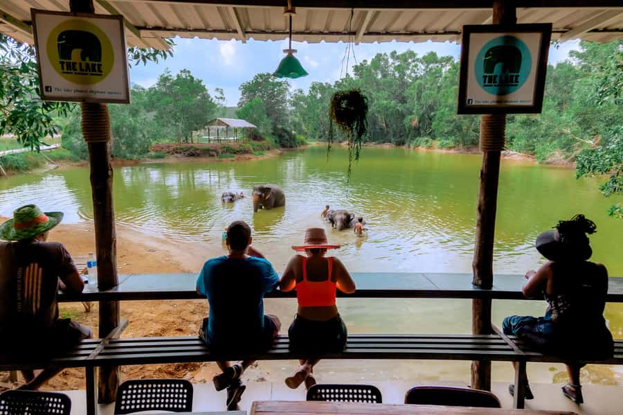 From Phuket: Ethical Elephant Interactive Trek and Tour - Who Will Enjoy This Day Most