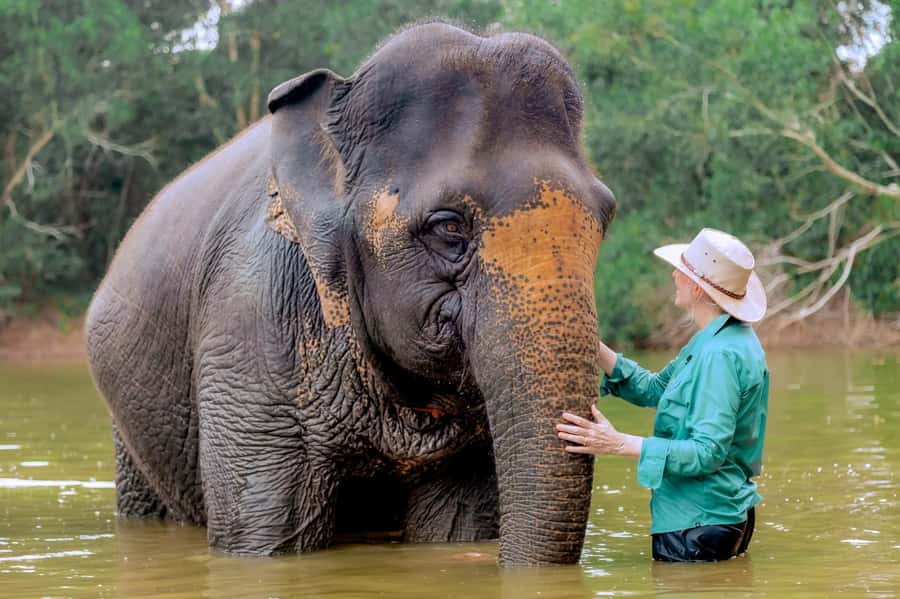 From Phuket: Ethical Elephant Interactive Trek and Tour - Bathing and Brushing in the River