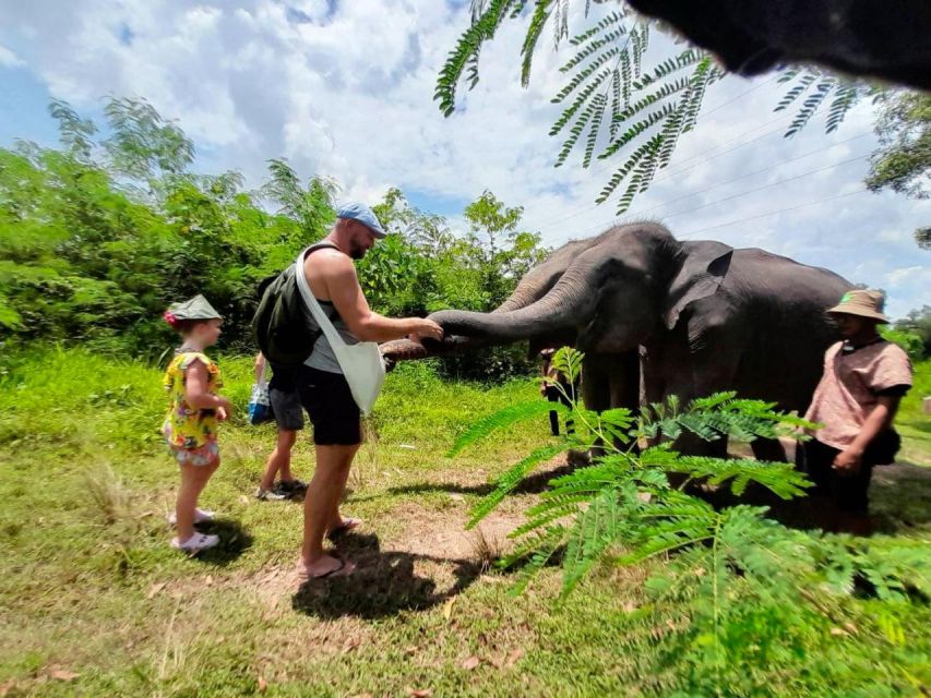 From Phuket: Ethical Elephant Interactive Trek and Tour - What the $157 Price Includes