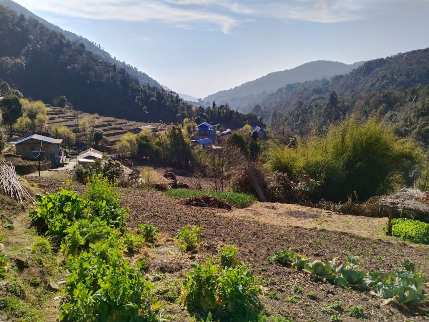 From Pokhara: 10-Day Poon Hill and Annapurna Base Camp Trek - Day 4: Tadapani to Chhomrong and the first big village
