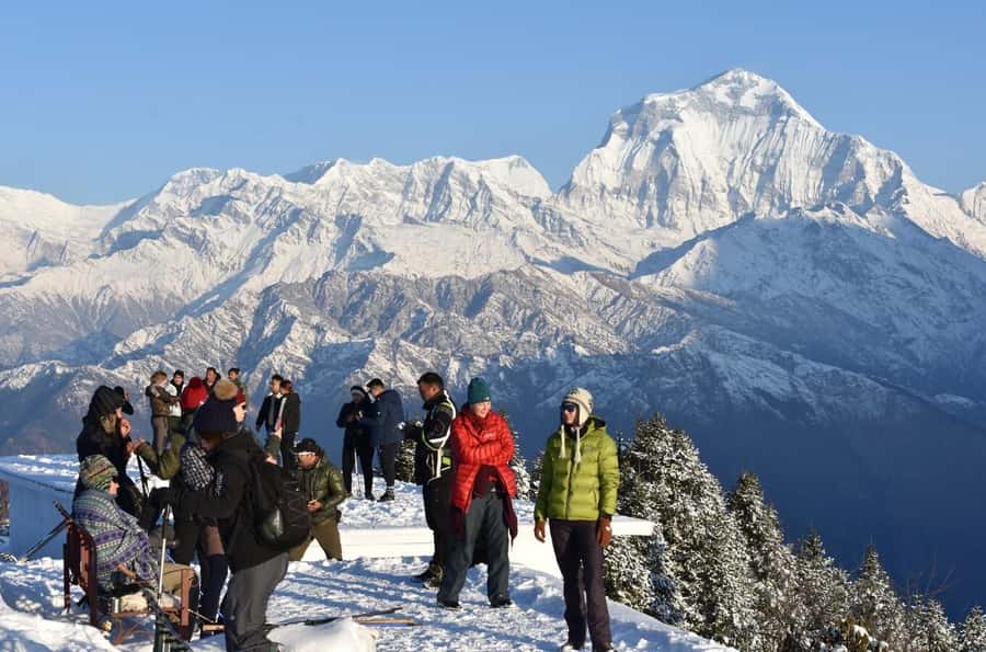 From Pokhara: 3-Day Ghorepani Poon Hill Trek with Guide - Day 1: Pokhara to Nayapul, Tikhedhunga, and Ulleri