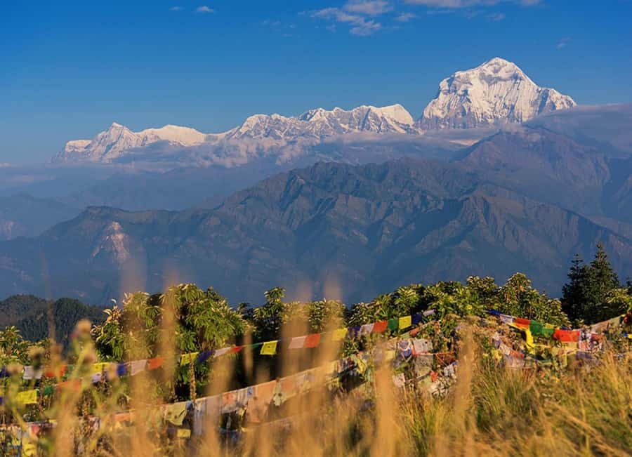 From Pokhara: 3-Day Ghorepani Poon Hill Trek with Guide - What the $162 price includes