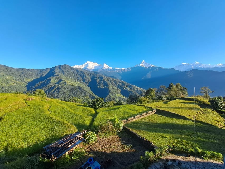 From Pokhara: 3-Day Ghorepani Poonhill Short Trek - Guides and the value of local help