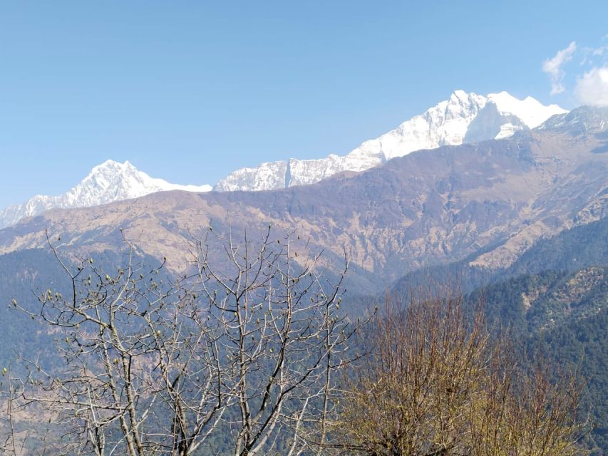 From Pokhara: 4-Day Annapurna and Poon Hill Himalayan Trek - The guide and the value of local support