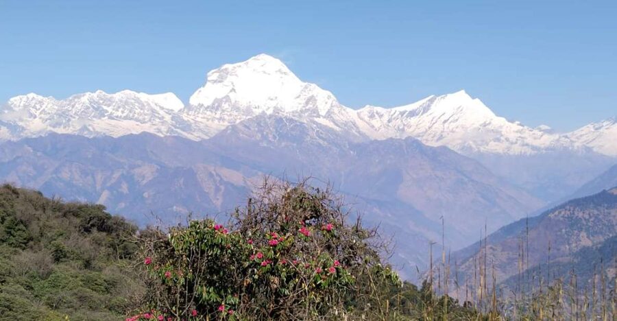 From Pokhara: 4-Day Annapurna and Poon Hill Himalayan Trek - Day 2: Poon Hill sunrise and the walk to Tadapani