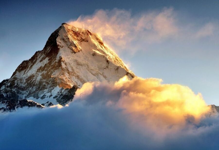 From Pokhara: 5-Day Annapurna Basecamp Trek with Hot Springs - The long return to Bamboo