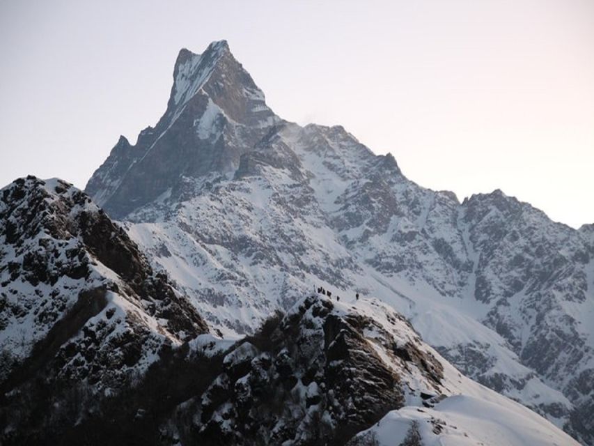 From Pokhara: 5-Day Mardi Himal Base Camp Trek - Guides, porters, and the human side of the trek