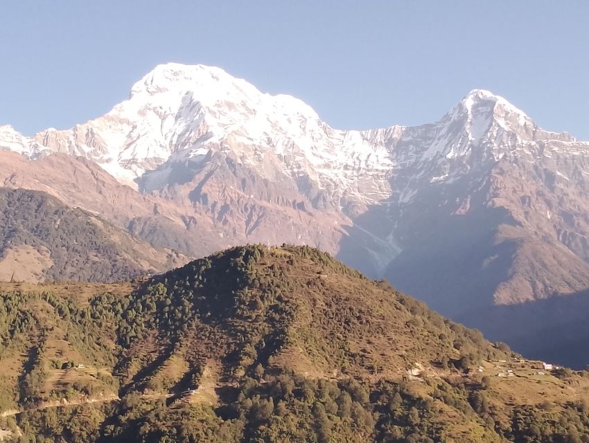 From Pokhara: 7 Days Budget backpackers group ABC Trek - Day 5: ABC down to Bamboo