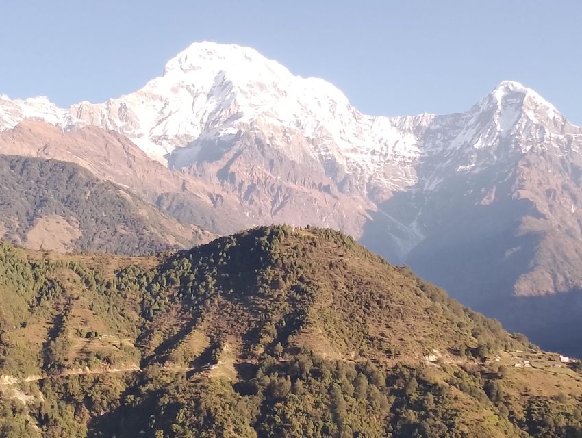 From Pokhara: 7 Days Budget backpackers group ABC Trek - Day 6: Bamboo to Jhinu and Kyumi