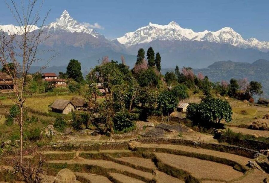From Pokhara: Annapurna View Day Hike - Descending through Dhampus Village