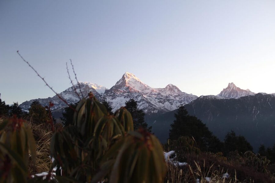 From Pokhara Budget: 2 Day 1 Night Ghorepani Poon Hill Trek - Who Should Choose This Trek