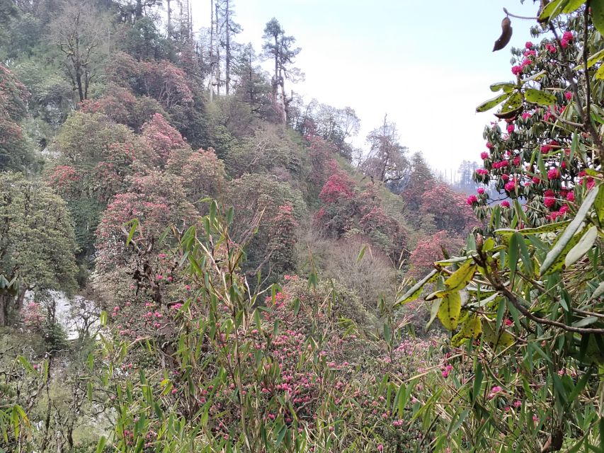 From Pokhara: Budget 2 Night 3 days Poon hill trek - Best seasons, clothing, and practical preparation