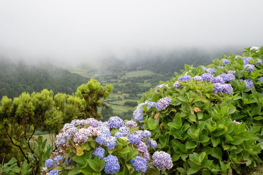 From Ponta Delgada: Vista do Rei to Sete Cidades Guided Trek - Caldeira Seca and the first stretch of trail