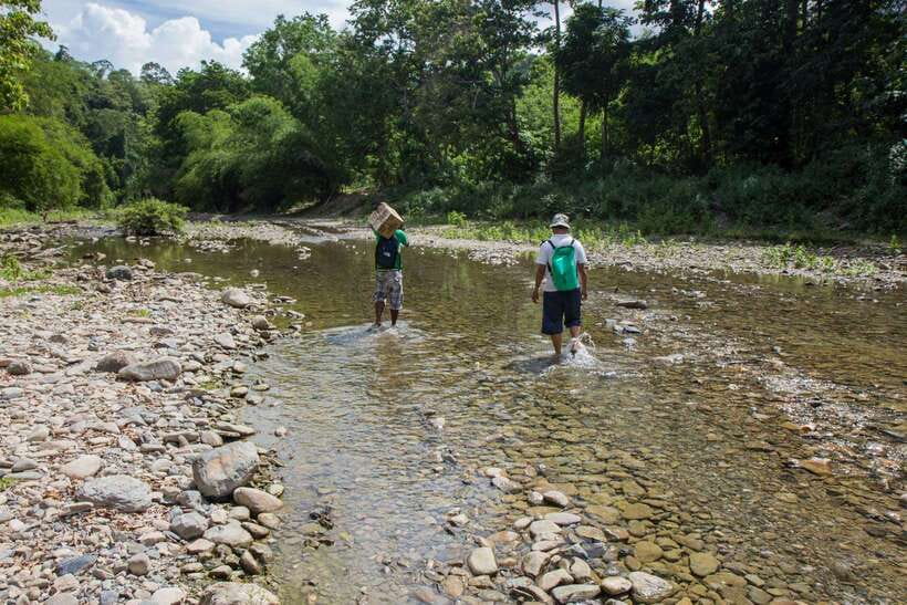 From Puerto Princesa: Trek to Batak Tribe Village - Key points to know before you book