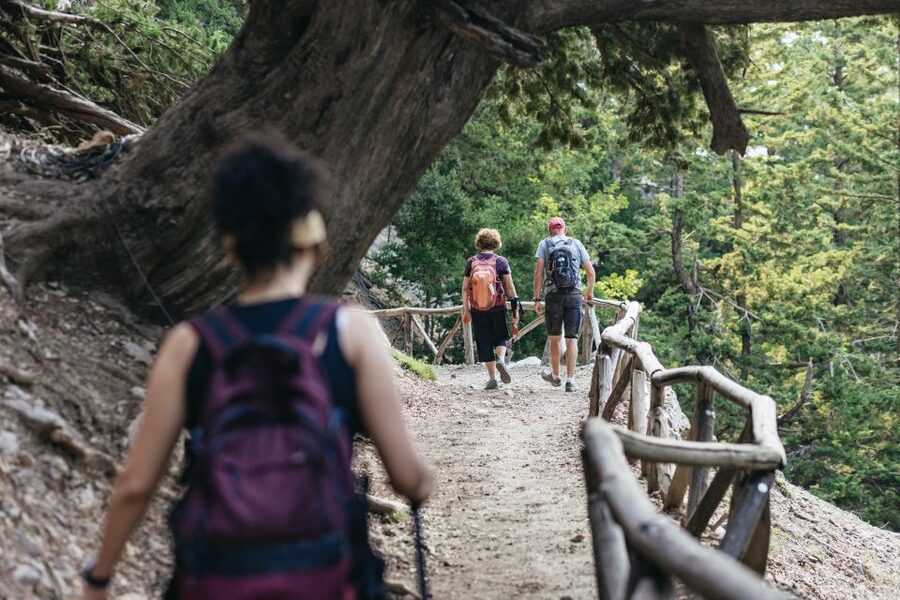 From Rethymno: Samaria Gorge Full-Day Trek, Pickup & Guide - Who Should Book This Trek