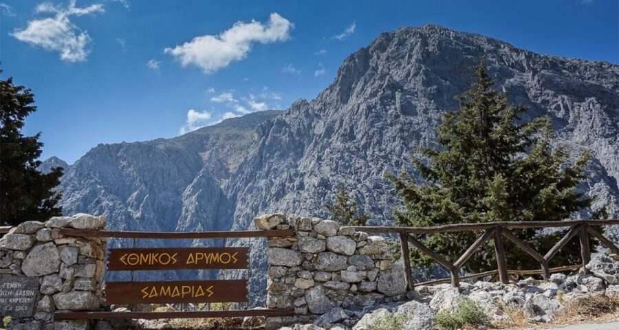 From Rethymno: Samaria Gorge Full-Day Trek, Pickup & Guide - Ancient Trees, Springs, and the Gorge’s Narrow Walls